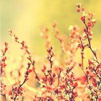 最新学校干事工作总结(四篇)