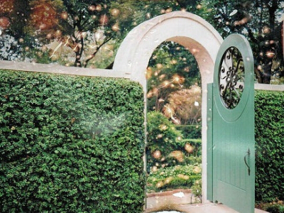 马克思经济学与西方经济学生态经济思想的比较