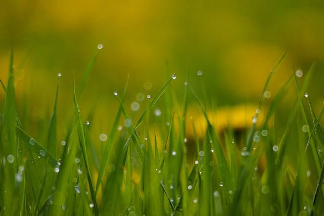 医院用工合同范文