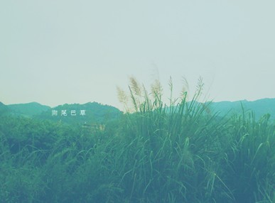 新版鱼塘经营承包合同范本3篇