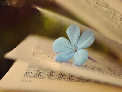 2024年商业铺面买卖合同 门面房买卖合同协议书(20篇)