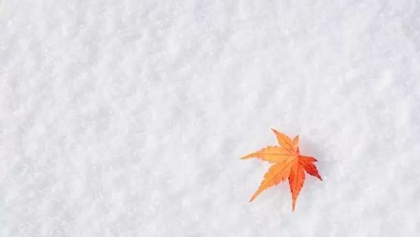 十八届三中全会：改革方案基本成型