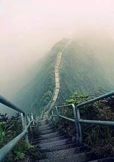 2024年个人单独居住租房协议 个人居住租房合同(3篇)