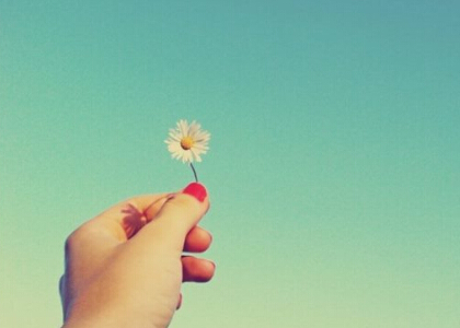 营销策划书模板范文(通用47篇)