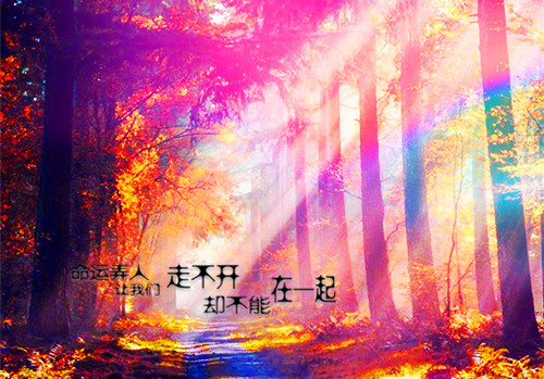 幼儿园小班教师个人工作计划 幼儿园小班教师个人工作计划第一学期(十三篇)