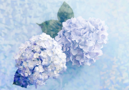 关于社区护士工作总结范文(推荐)