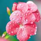 哈利波特介绍作文200字(十篇)