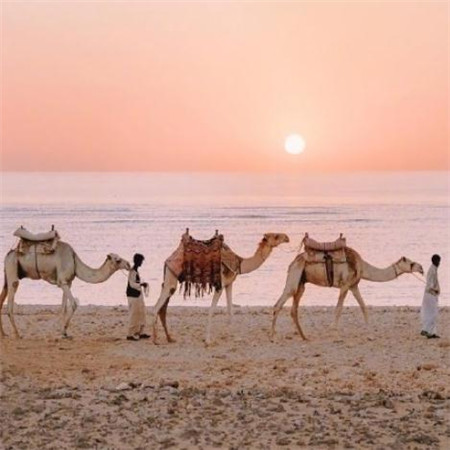 2024年社区法治宣传工作总结简短