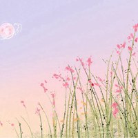 最新雷雨读后感1500字 雷雨读后感600字高中(十四篇)