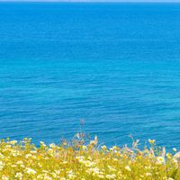 国庆英语作文日记格式范文通用38篇