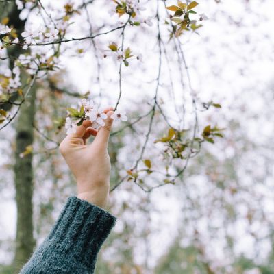 药品招标采购合同