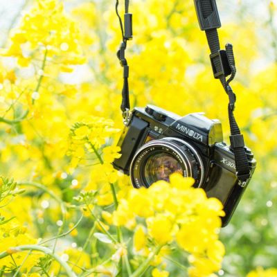 部队士官年终总结汇报7篇