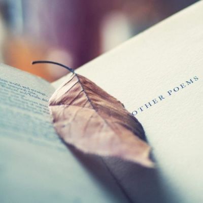 最新寒假打工心得800字作文(十三篇)