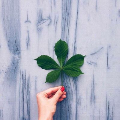 教育合作协议书模板