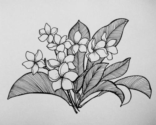 最新小班幼儿教学心得 幼儿园小班教学心得(十篇)