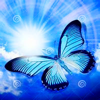 2024年委托技术开发合同(20篇)