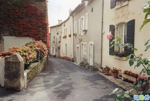 浅谈初中物理教学中多媒体的应用