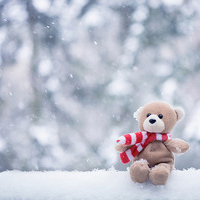 养殖保险合同样本