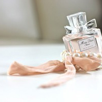 大学共青团员入党转正申请书党团材料