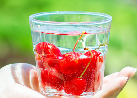 2024年六年级小学生作文梗概 六年级小学生作文变形记(5篇)