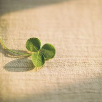 企业厂房买卖合同书(二十一篇)