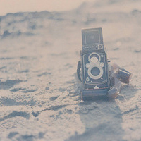 2024年保险专业实训报告(三篇)