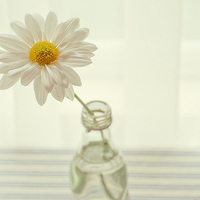 授权技术合同范本(10篇)