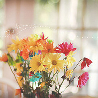 2024年打水仗的作文300字 打水仗作文600字(8篇)