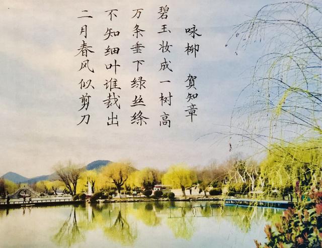 最新员工合同管理制度 销售合同管理制度(三篇)