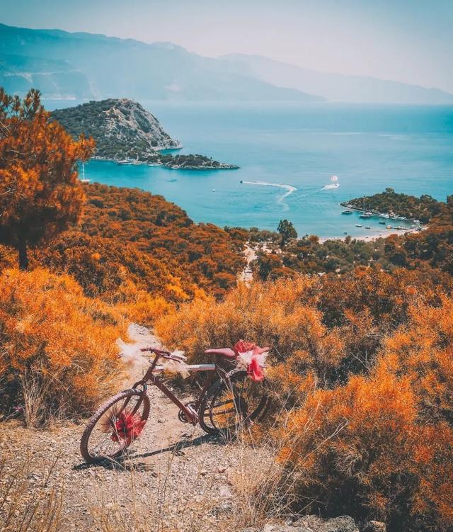 2024年社区防灾减灾工作总结范本