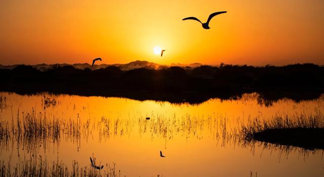 最新初中写事的作文400字 初中写事的作文700字(13篇)