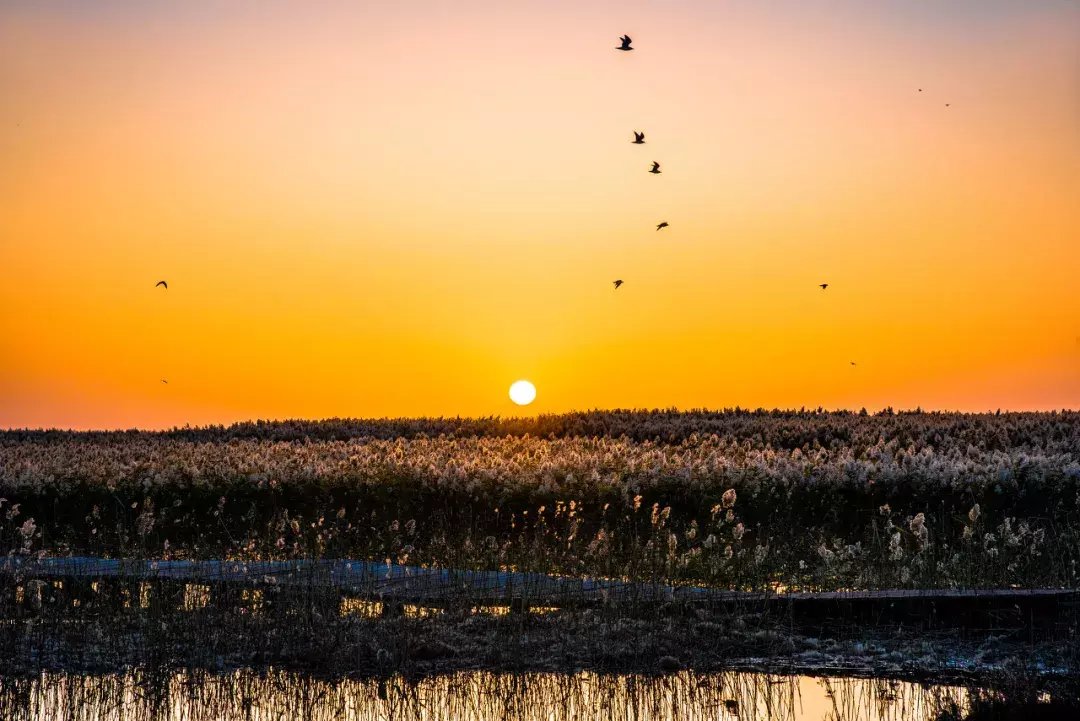 描写解放思想研讨材料及感悟(五篇)