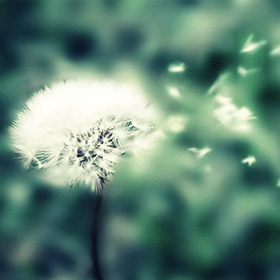 2024年证券公司工作总结 证券公司年度工作总结及工作计划(二十二篇)