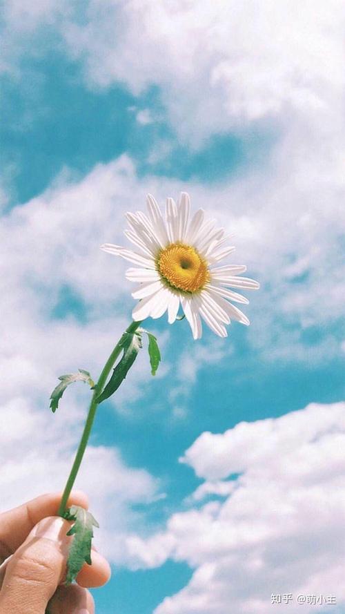 2024年公司综合部工作个人总结 部门自我总结与评价(5篇)