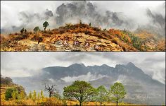 公司主管工作计划和目标(13篇)