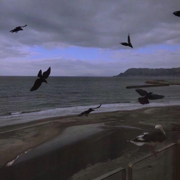 代理模式合同范本(共48篇)