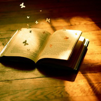 最新幼儿园后勤主任工作计划(七篇)