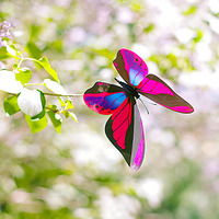 最新劳务代理合同发票如何开(十一篇)