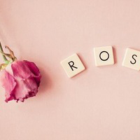 2024年奶奶的眼神作文150字 奶奶的眼神作文500字(3篇)