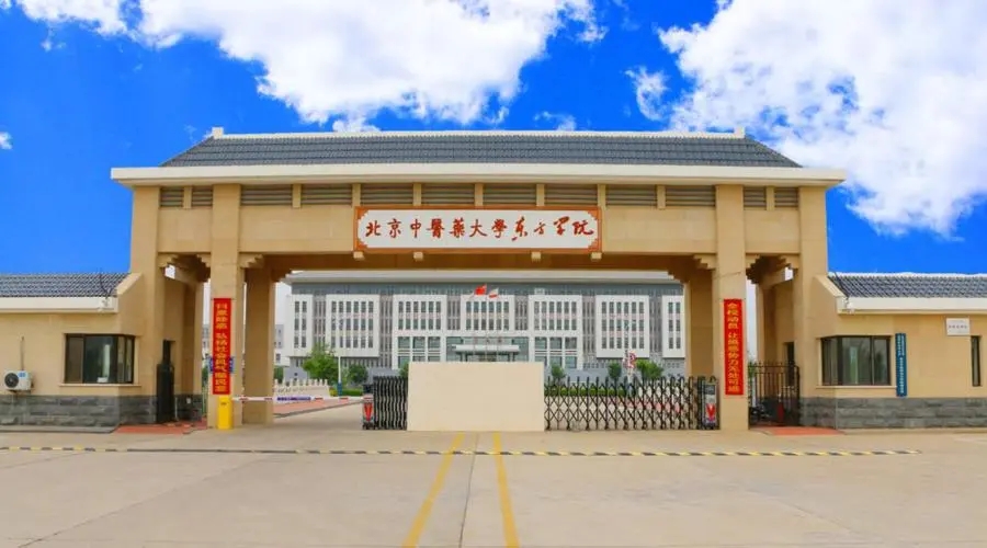 中药制药专业大学排名（2024前十强最新大学排名）