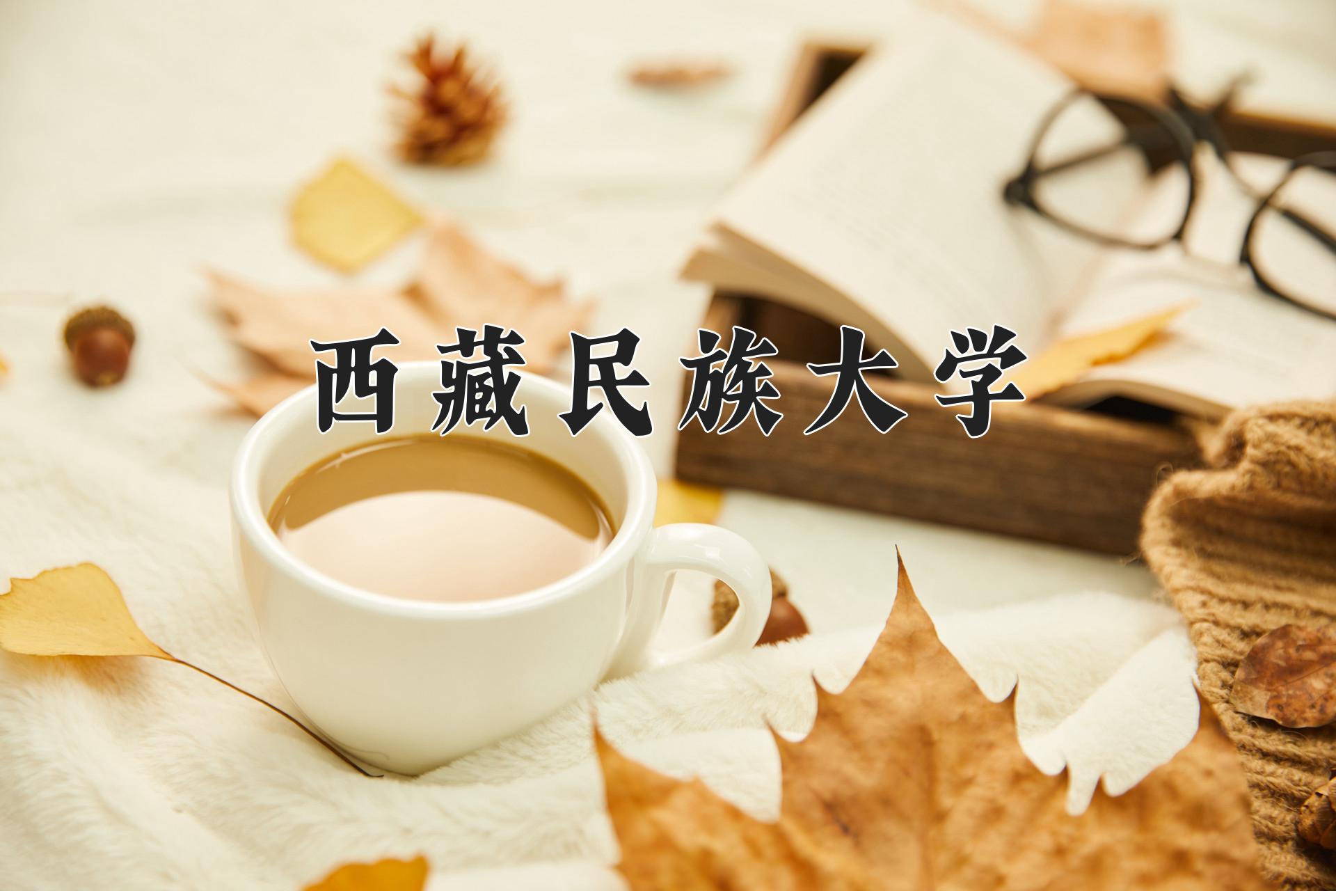 西藏民族大学2024年各学科排名一览表！附教育部评级比例