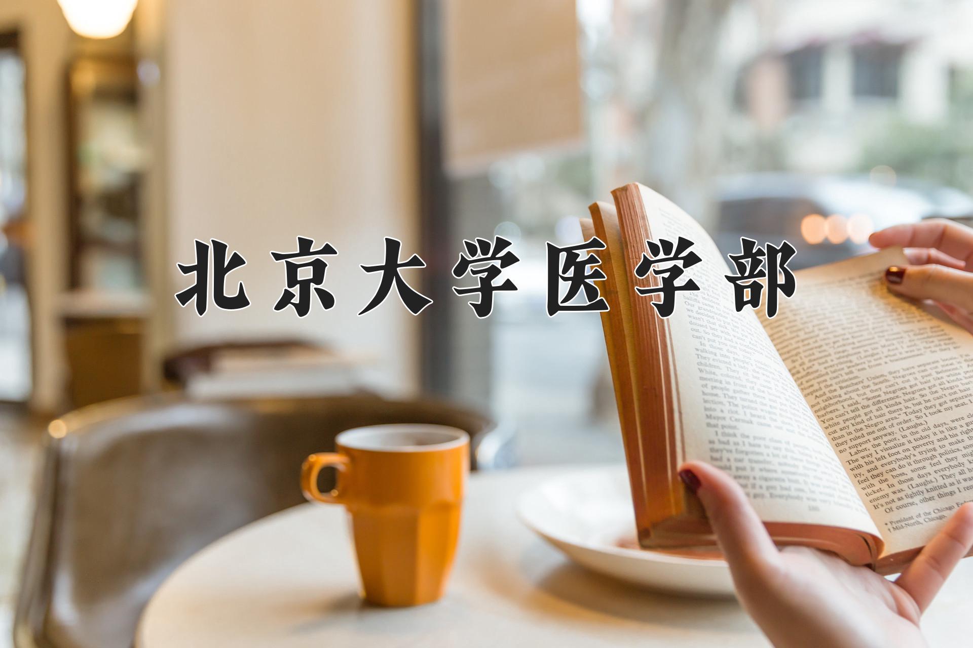 2024年英语专业大学排名及录取分数线（2025考生参考）