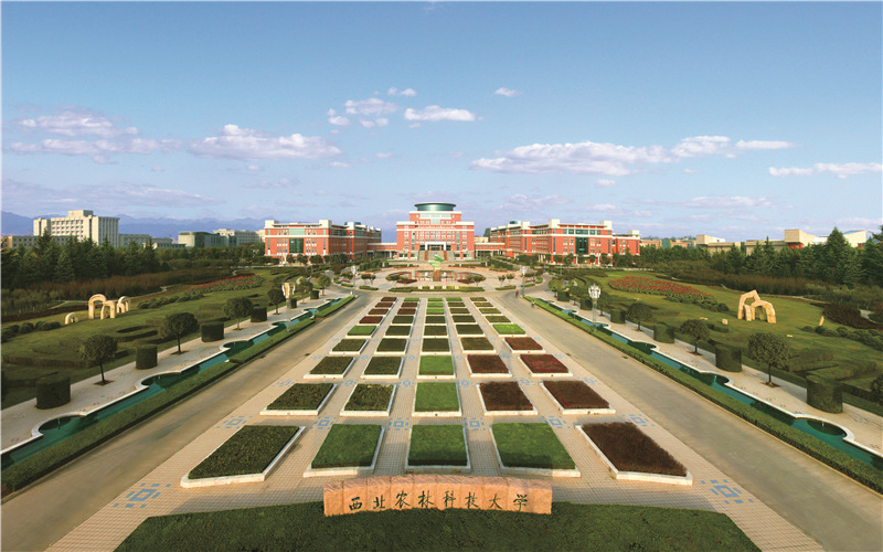2024年资源环境科学专业大学排名及录取分数线（2025考生参考）