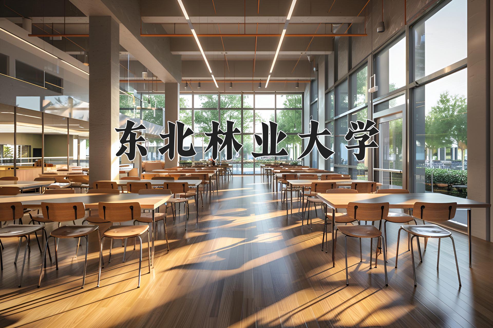 木材科学与工程专业大学排名（2024前五强最新大学排行榜）