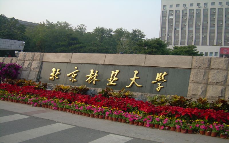 2024年木材科学与工程专业大学排名及录取分数线（2025考生参考）