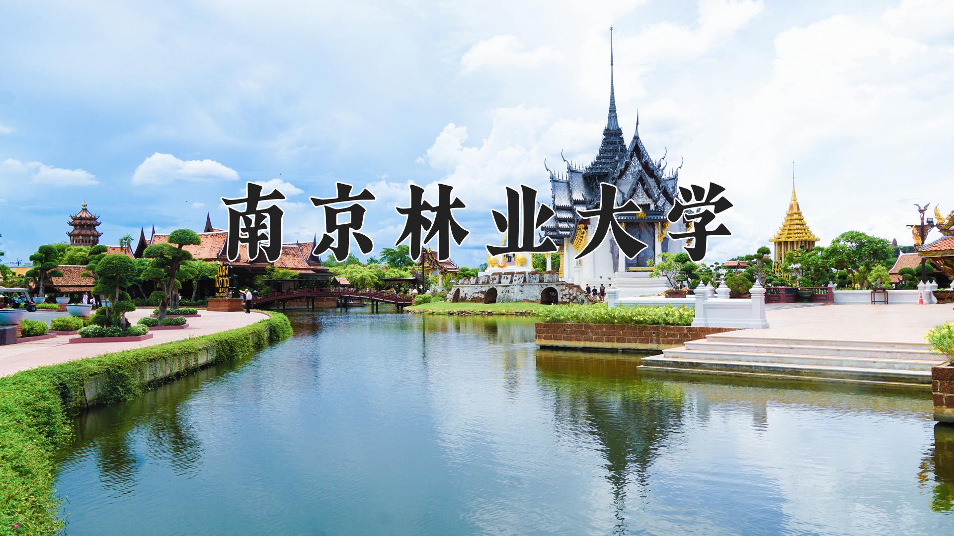2024年家具设计与工程专业大学排名及录取分数线（2025考生参考）