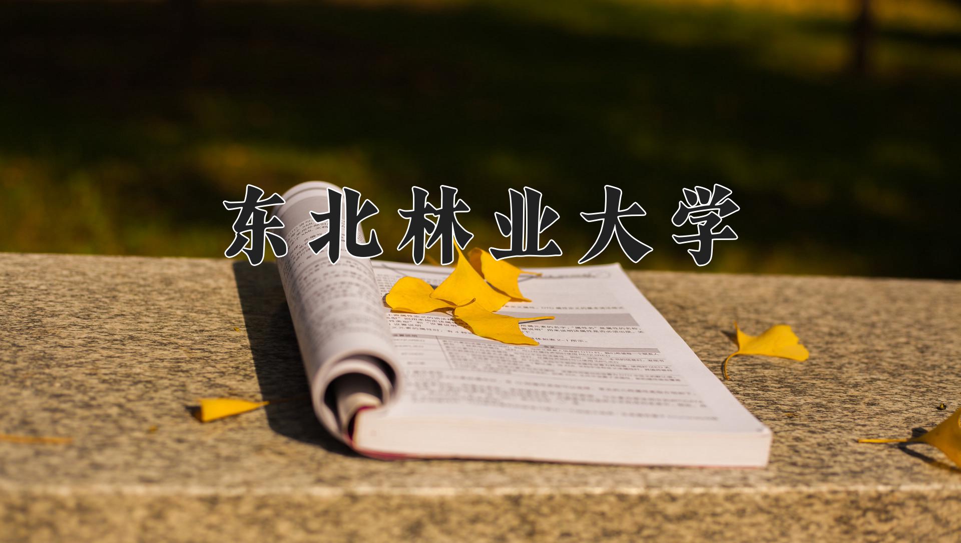 森林工程专业大学排名（2024前三强最新大学排行榜）
