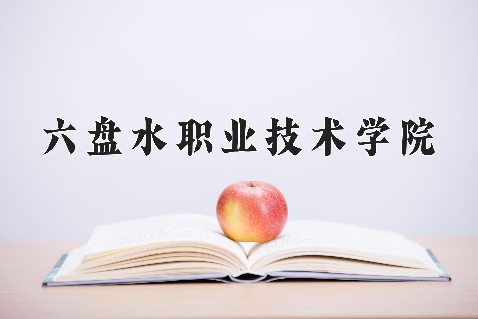 六盘水职业技术学院招生数据可视化