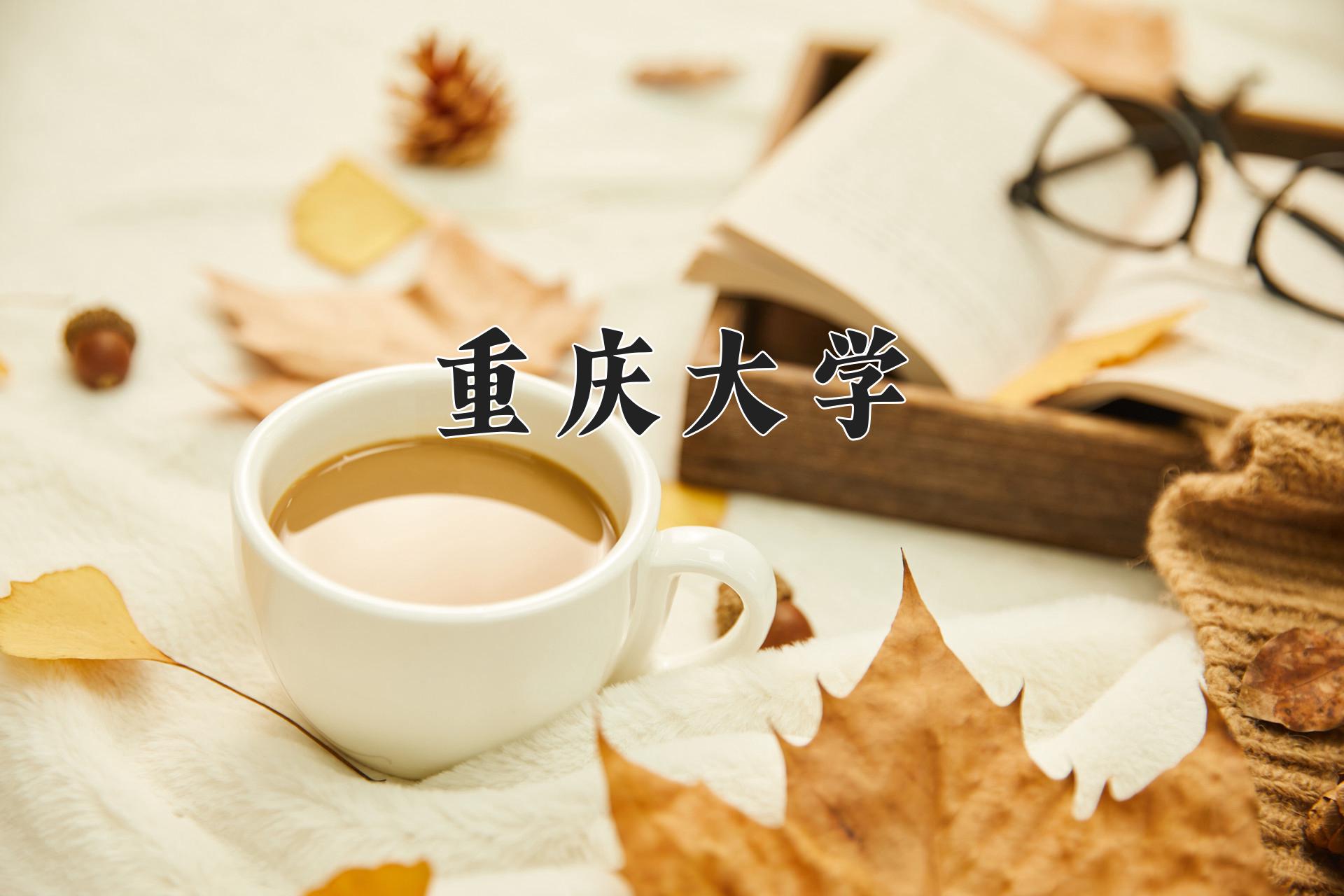 重庆大学招生数据图表