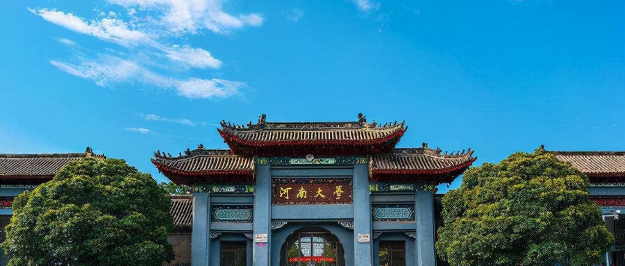 河南大学师资结构示意图